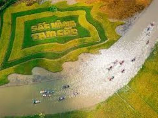 www.funnytravel.vn
